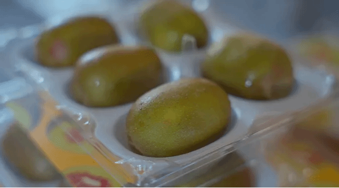 bevictor伟德官网-韦德官方网站