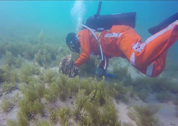 bevictor伟德官网-韦德官方网站