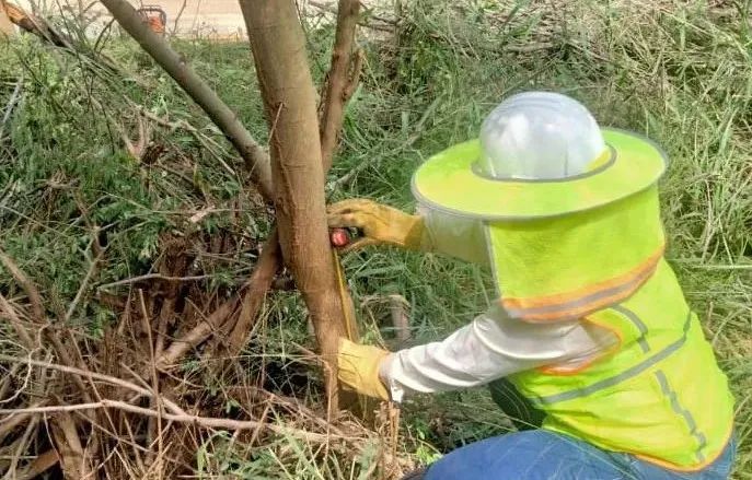 bevictor伟德官网-韦德官方网站