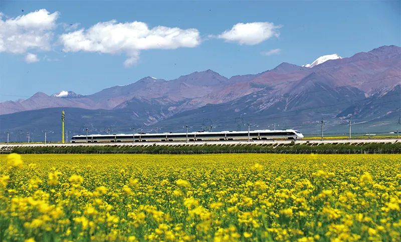 张玉卓、、国资、、央企、、国资委、、书记、、主任、、国企、、企业刷新