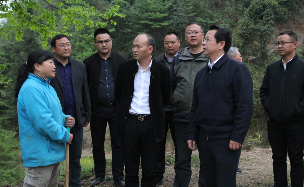 省林业局向导一行到yp街机林业各山桐子项目地调研