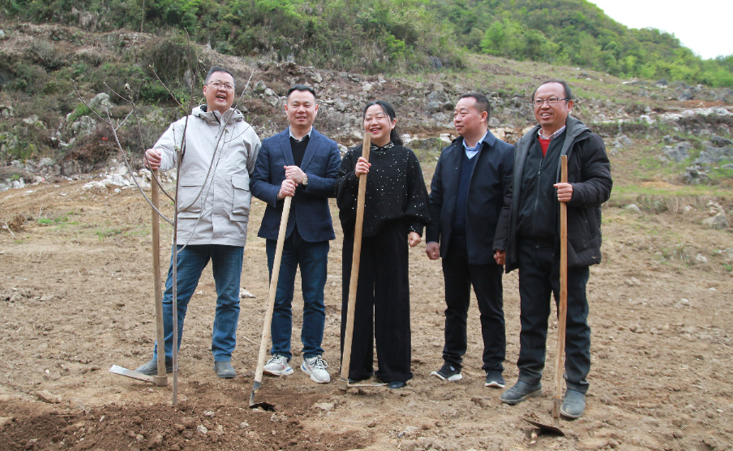 yp街机林业独山县麻尾山桐子综合树模基地： 县、镇向导莅临基地举行实地调研