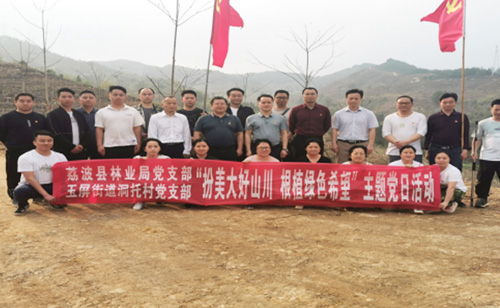 “扮美大好山水,根植绿色希望”主题党日运动 在yp街机林业公司荔波山桐子树模基地举行